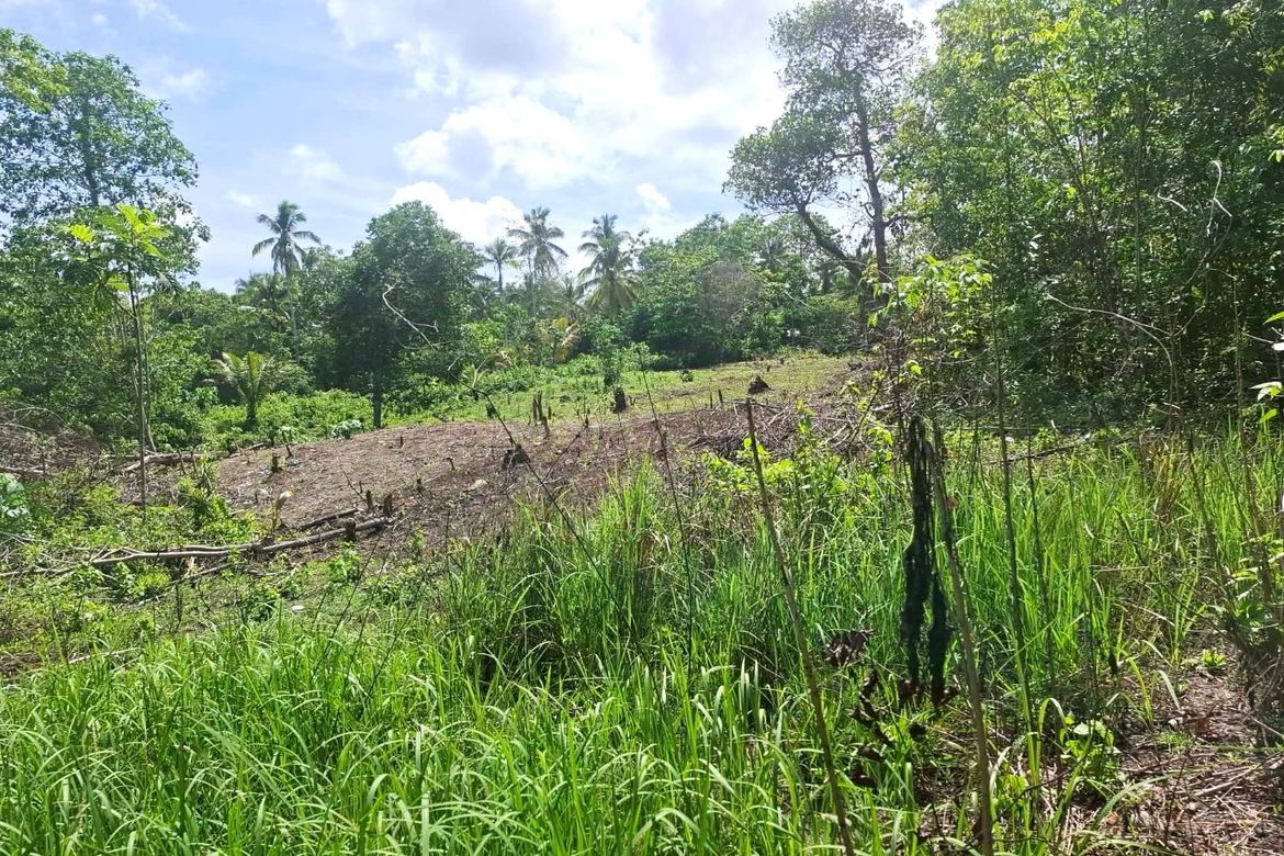 Land for Sale in San Remigio, Samal, Davao del Norte – photo 3