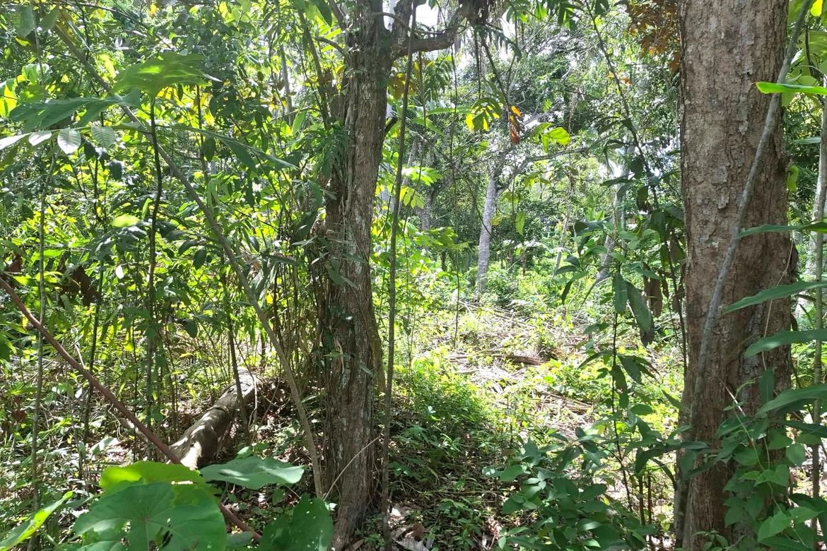 Land for Sale in San Remigio, Samal, Davao del Norte – photo 4