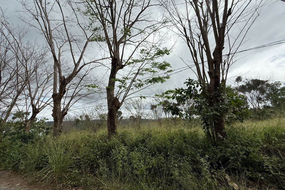 Land for Sale in San Roque, Angono, Rizal – photo 6