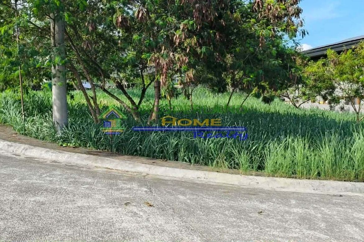 Land for Sale in San Roque, Antipolo, Rizal