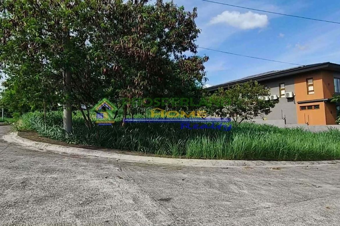 Land for Sale in San Roque, Antipolo, Rizal – photo 3