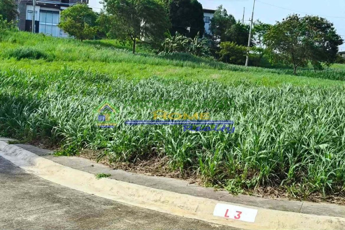 Land for Sale in San Roque, Antipolo, Rizal – photo 2