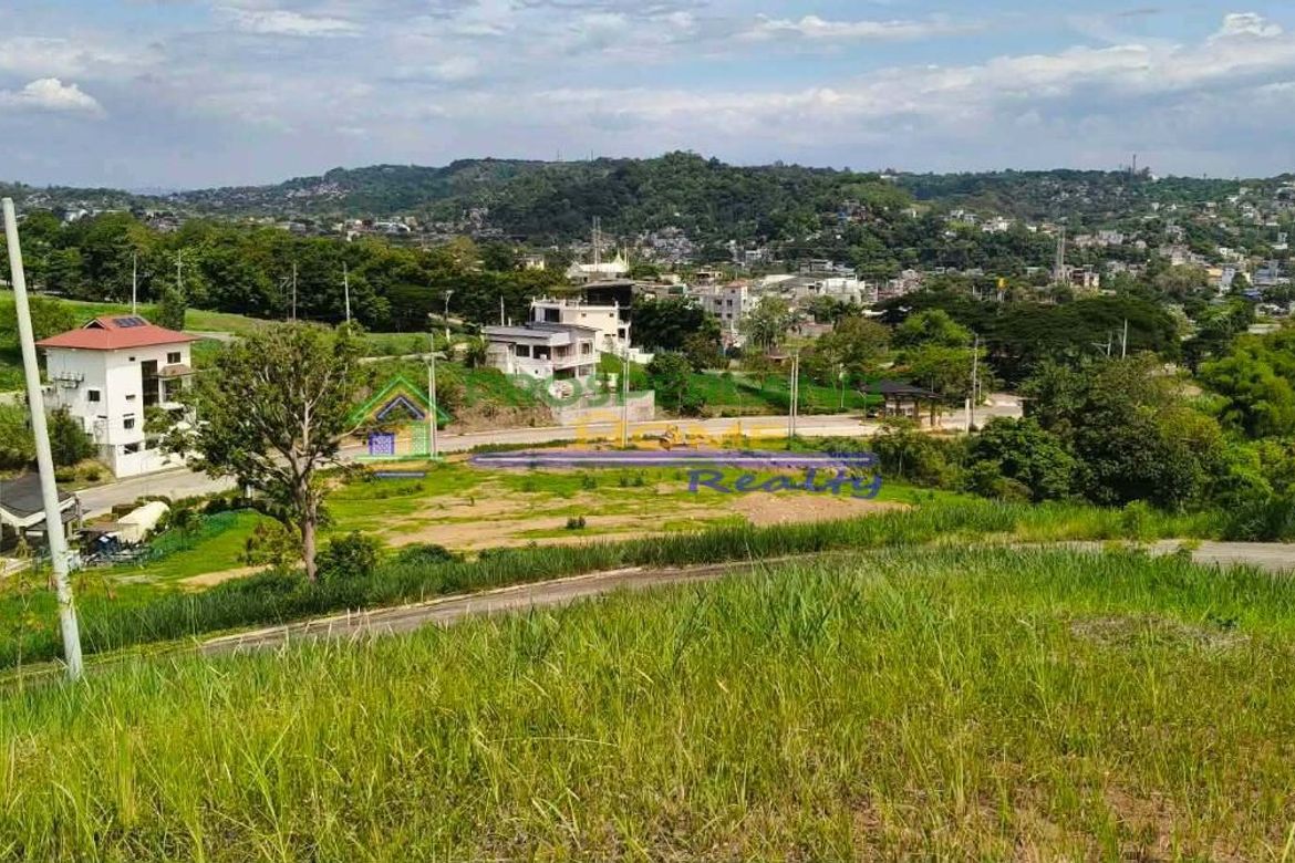 Land for Sale in San Roque, Antipolo, Rizal – photo 3
