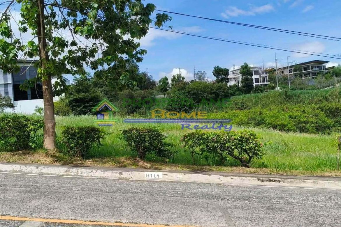 Land for Sale in San Roque, Antipolo, Rizal – photo 3