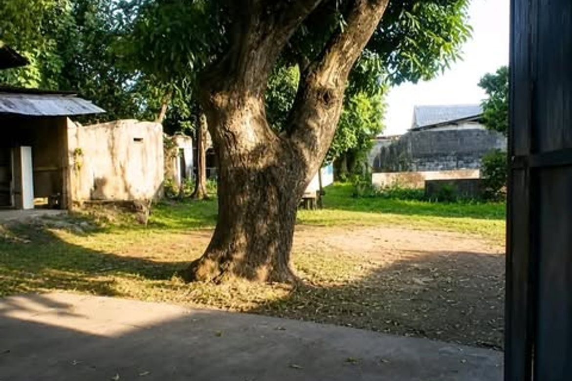Land for Sale in San Roque, Antipolo, Rizal – photo 4