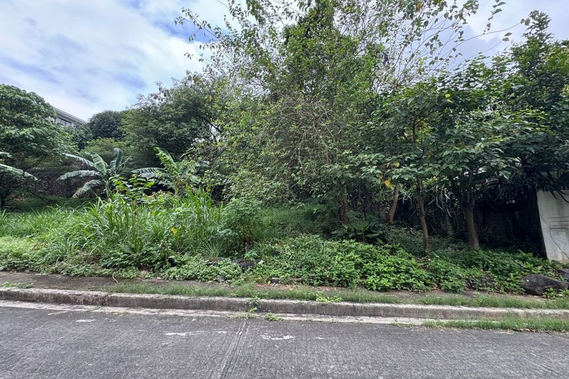 Land for Sale in San Roque, Antipolo, Rizal – photo 3