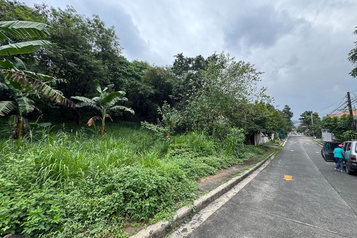 Land for Sale in San Roque, Antipolo, Rizal – photo 4