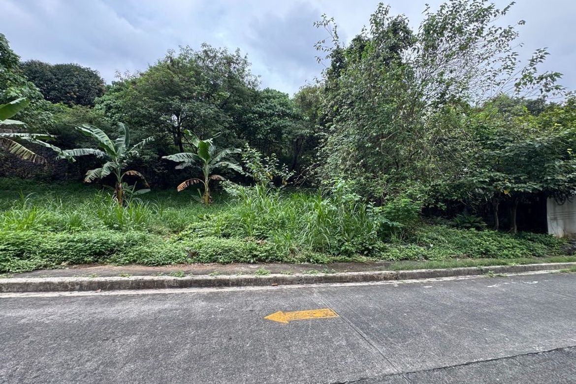 Land for Sale in San Roque, Antipolo, Rizal – photo 6