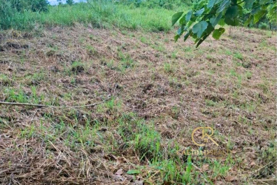 Land for Sale in San Roque, Antipolo, Rizal