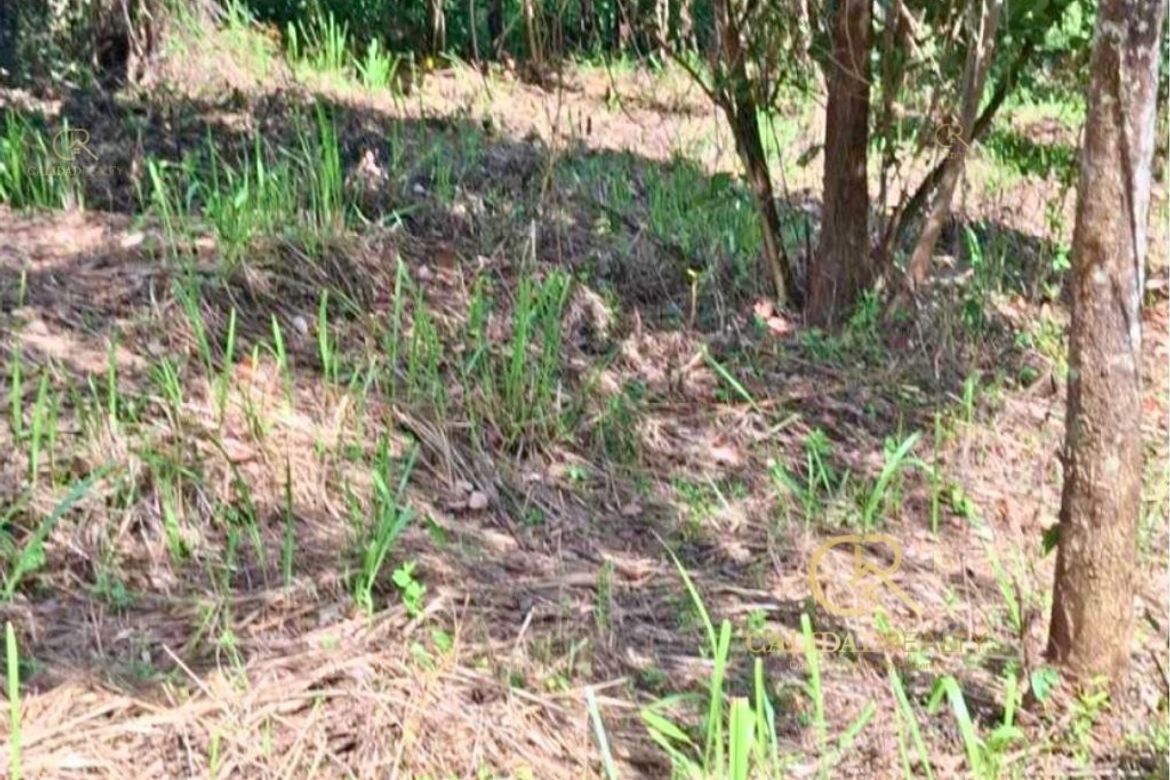 Land for Sale in San Roque, Antipolo, Rizal – photo 2