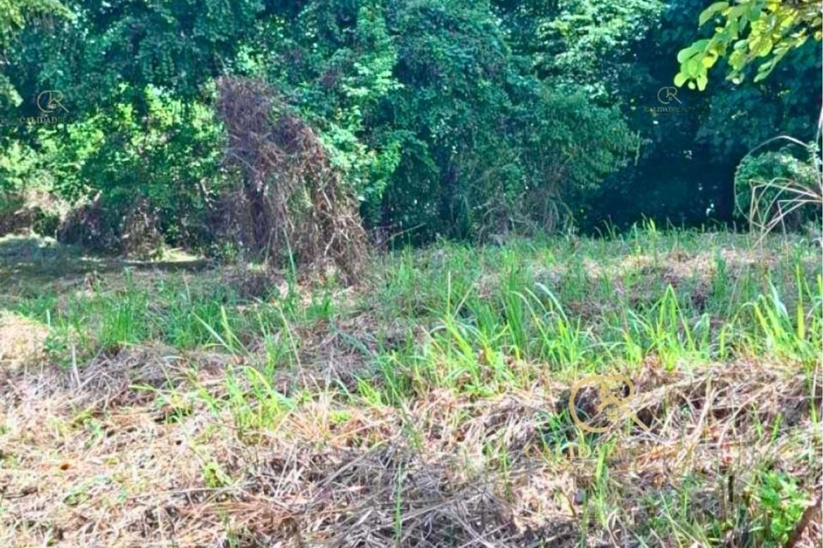 Land for Sale in San Roque, Antipolo, Rizal – photo 3