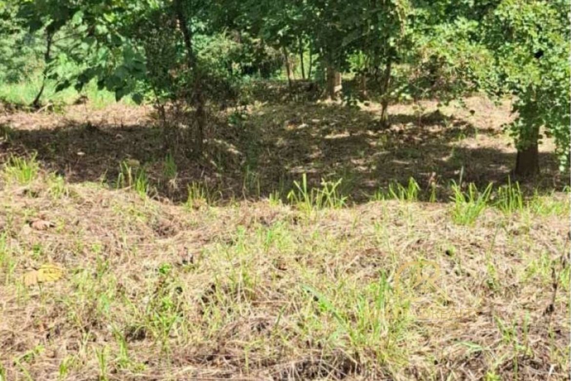 Land for Sale in San Roque, Antipolo, Rizal – photo 4