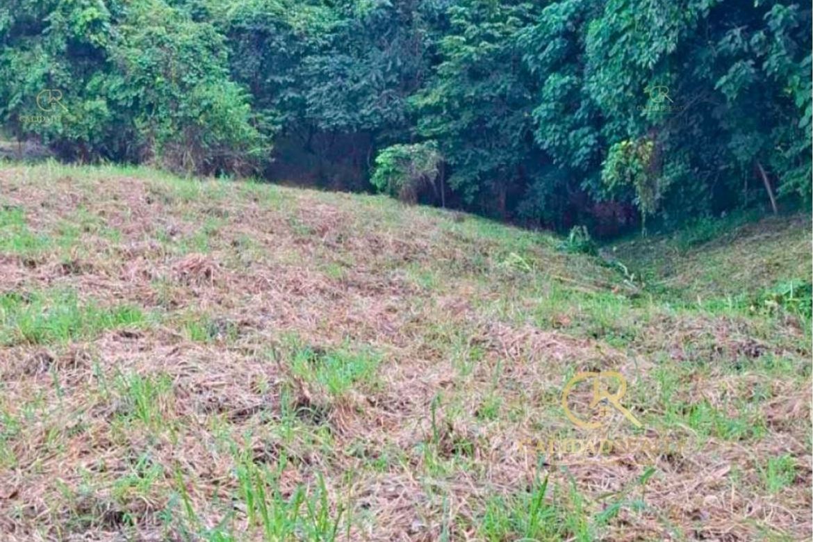 Land for Sale in San Roque, Antipolo, Rizal – photo 5