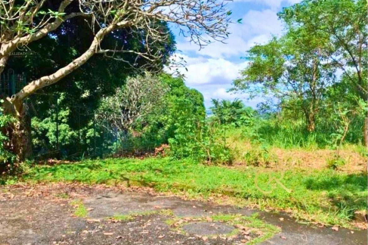 Land for Sale in San Roque, Antipolo, Rizal – photo 6