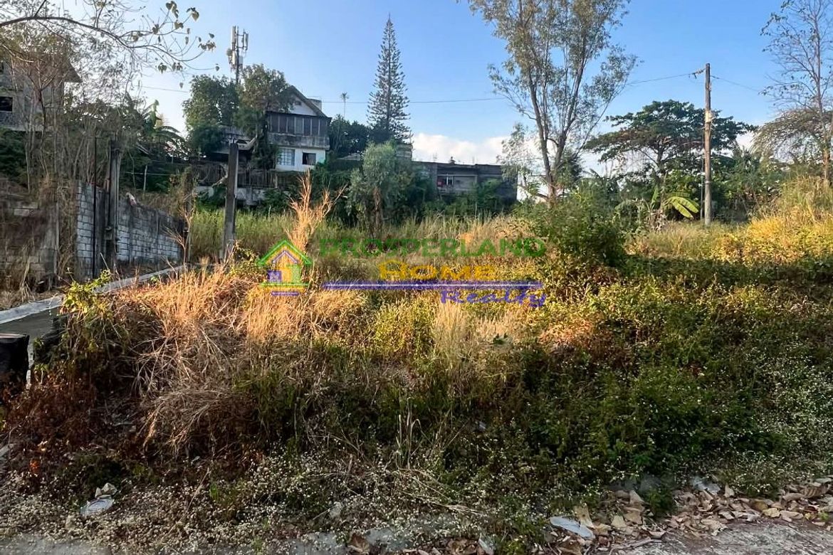 Land for Sale in San Roque, Antipolo, Rizal