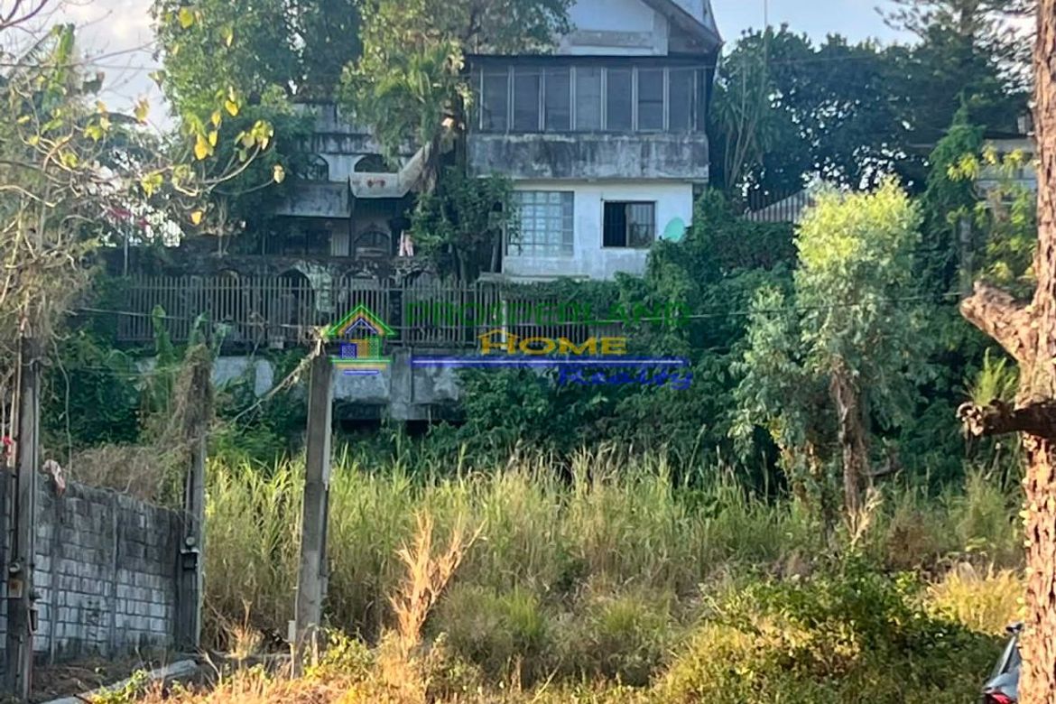 Land for Sale in San Roque, Antipolo, Rizal – photo 2