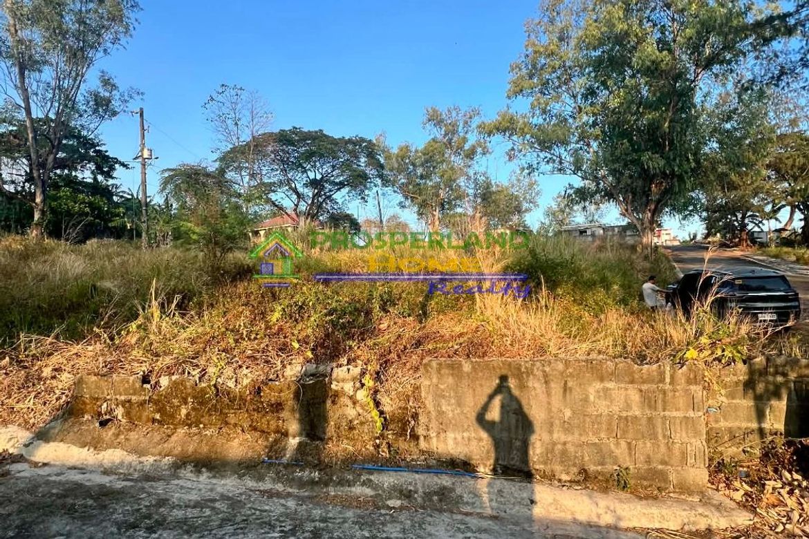 Land for Sale in San Roque, Antipolo, Rizal – photo 3