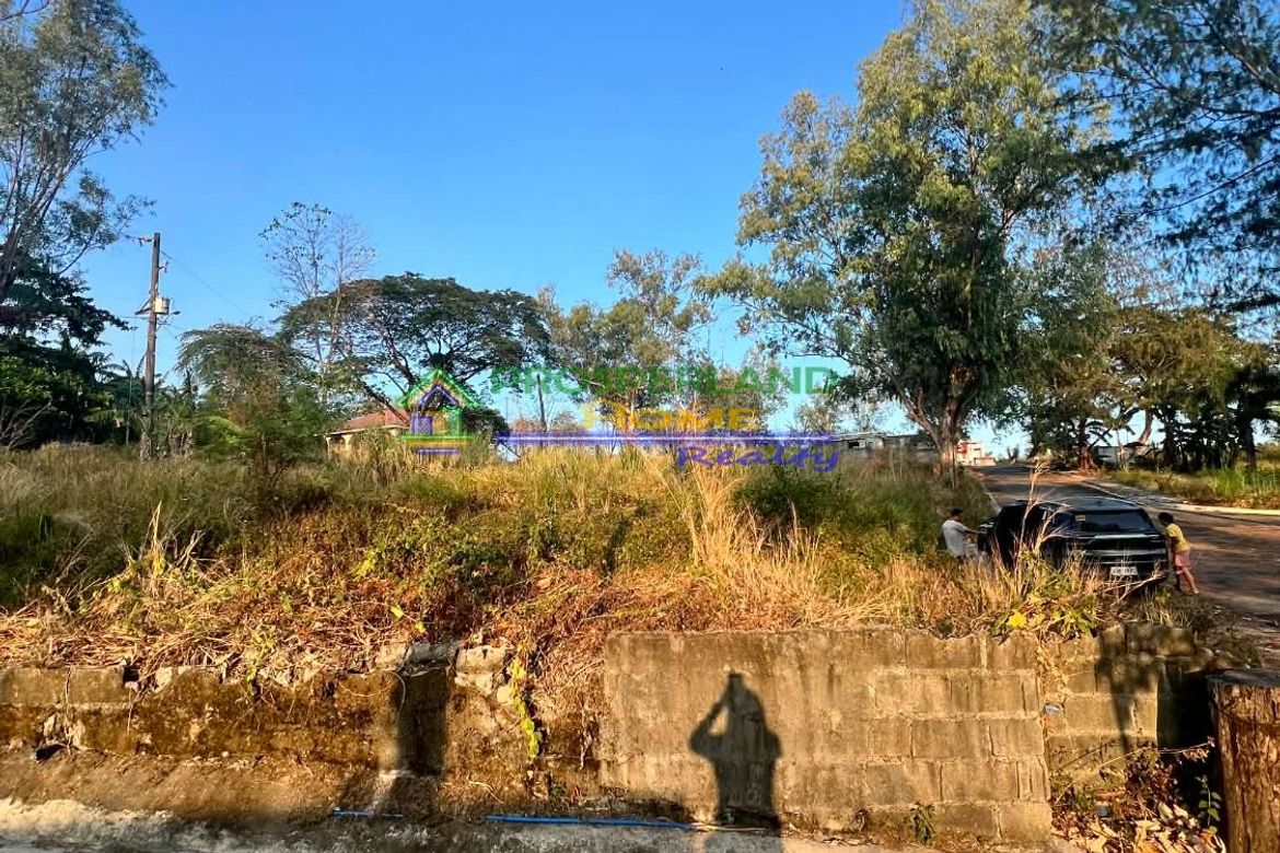 Land for Sale in San Roque, Antipolo, Rizal – photo 4