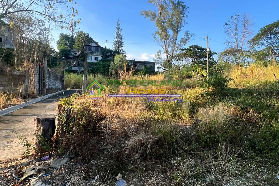 Land for Sale in San Roque, Antipolo, Rizal – photo 5