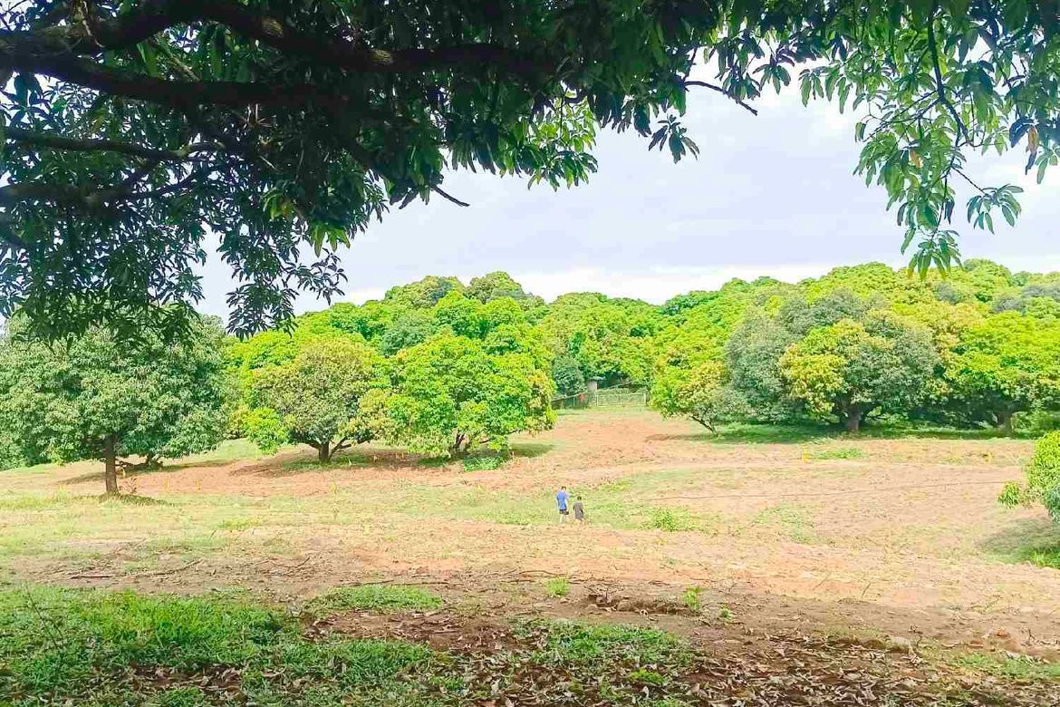 Land for Sale in San Roque, Antipolo, Rizal – photo 2