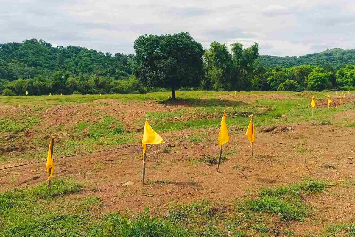 Land for Sale in San Roque, Antipolo, Rizal – photo 5