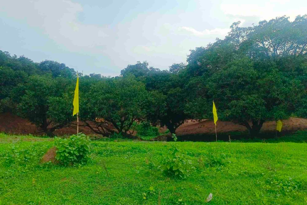 Land for Sale in San Roque, Antipolo, Rizal – photo 6
