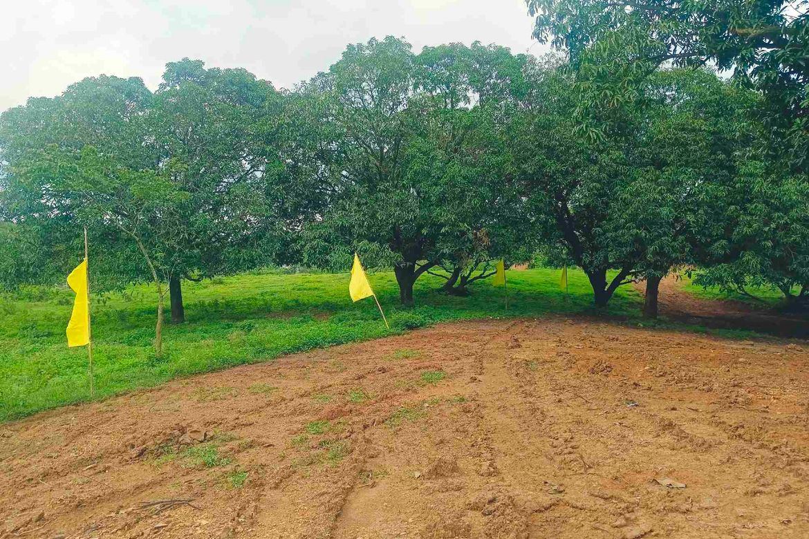 Land for Sale in San Roque, Antipolo, Rizal – photo 7
