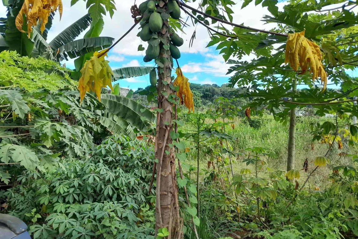 Land for Sale in San Roque, Antipolo, Rizal – photo 2
