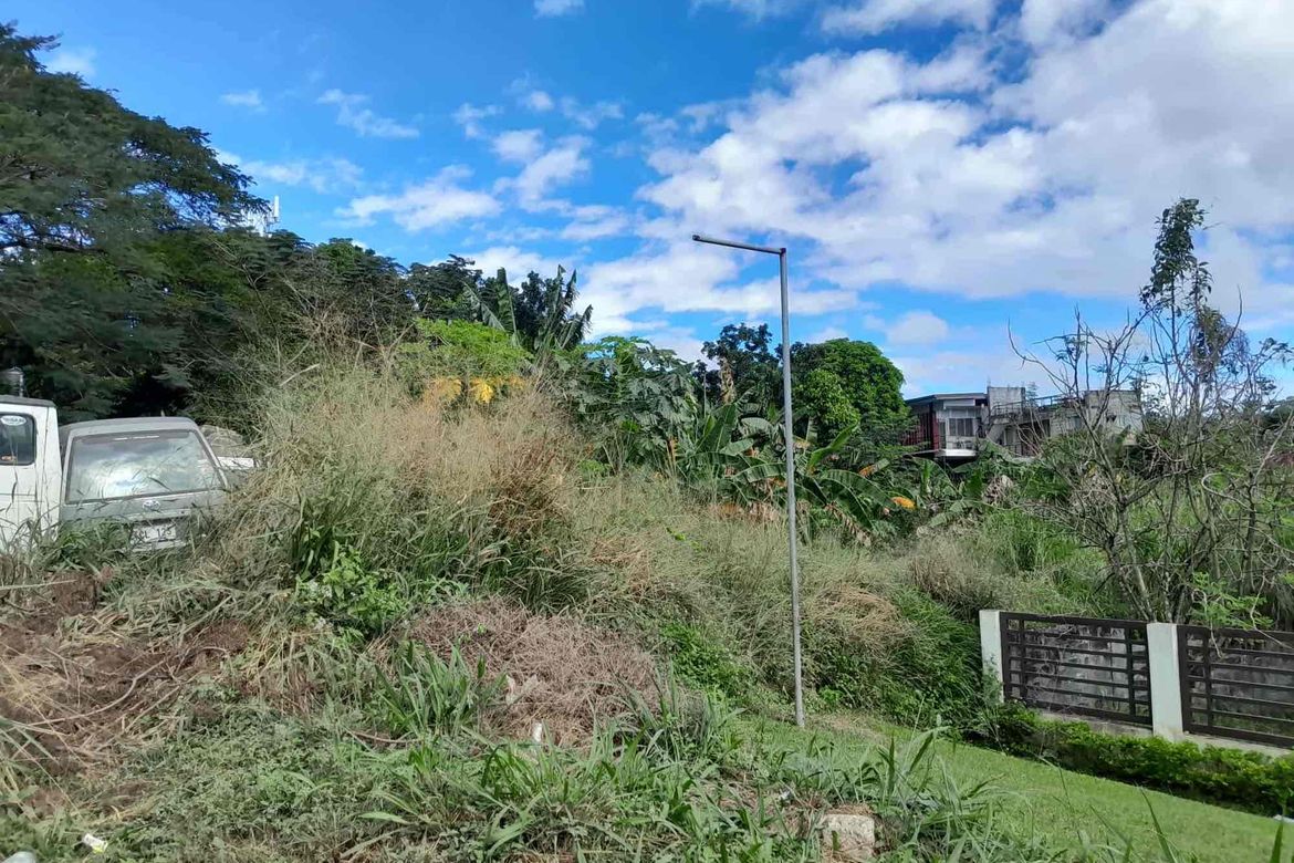 Land for Sale in San Roque, Antipolo, Rizal – photo 4