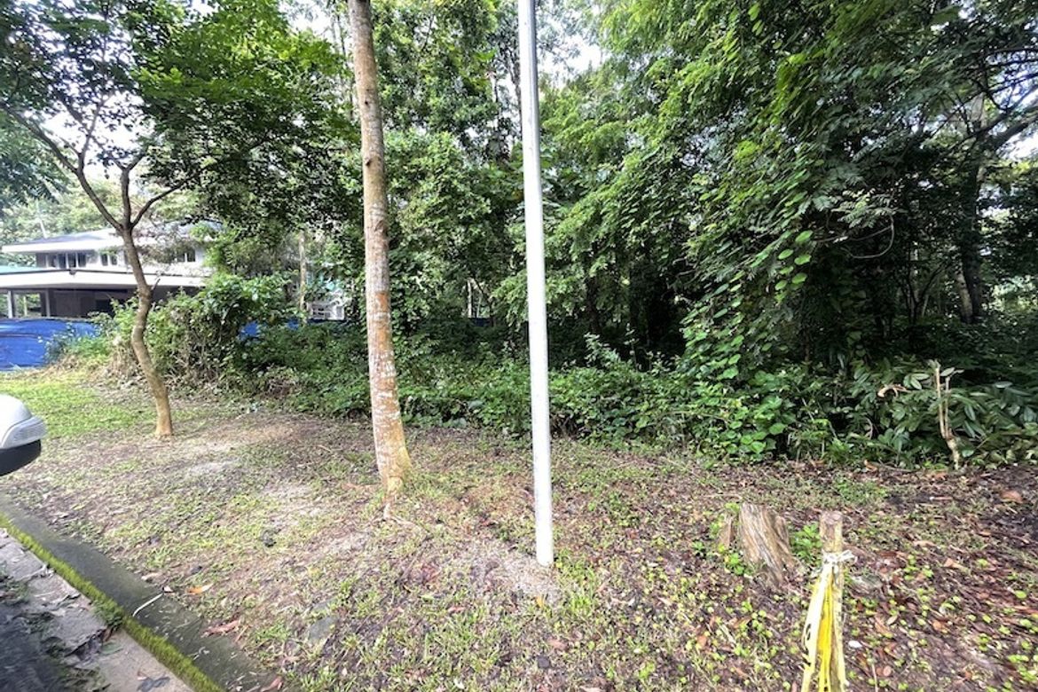Land for Sale in San Roque, Antipolo, Rizal – photo 3