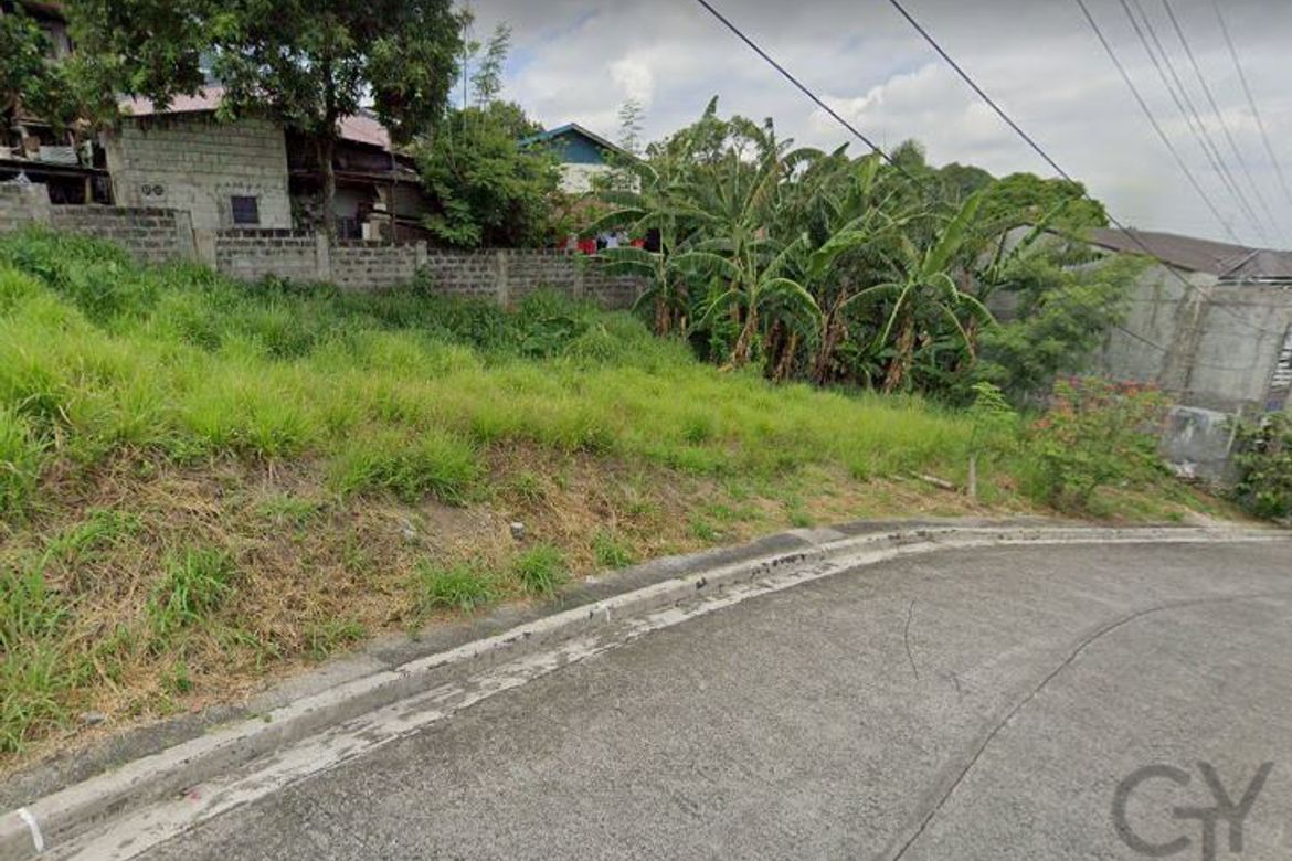 Land for Sale in San Roque, Antipolo, Rizal – photo 2