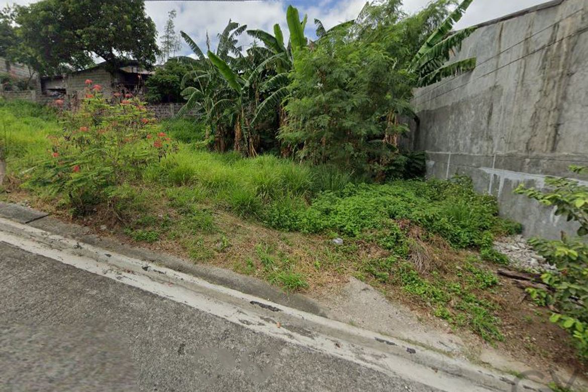 Land for Sale in San Roque, Antipolo, Rizal – photo 3