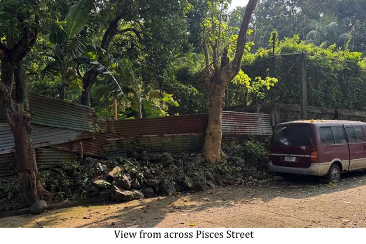 Land for Sale in San Roque, Antipolo, Rizal