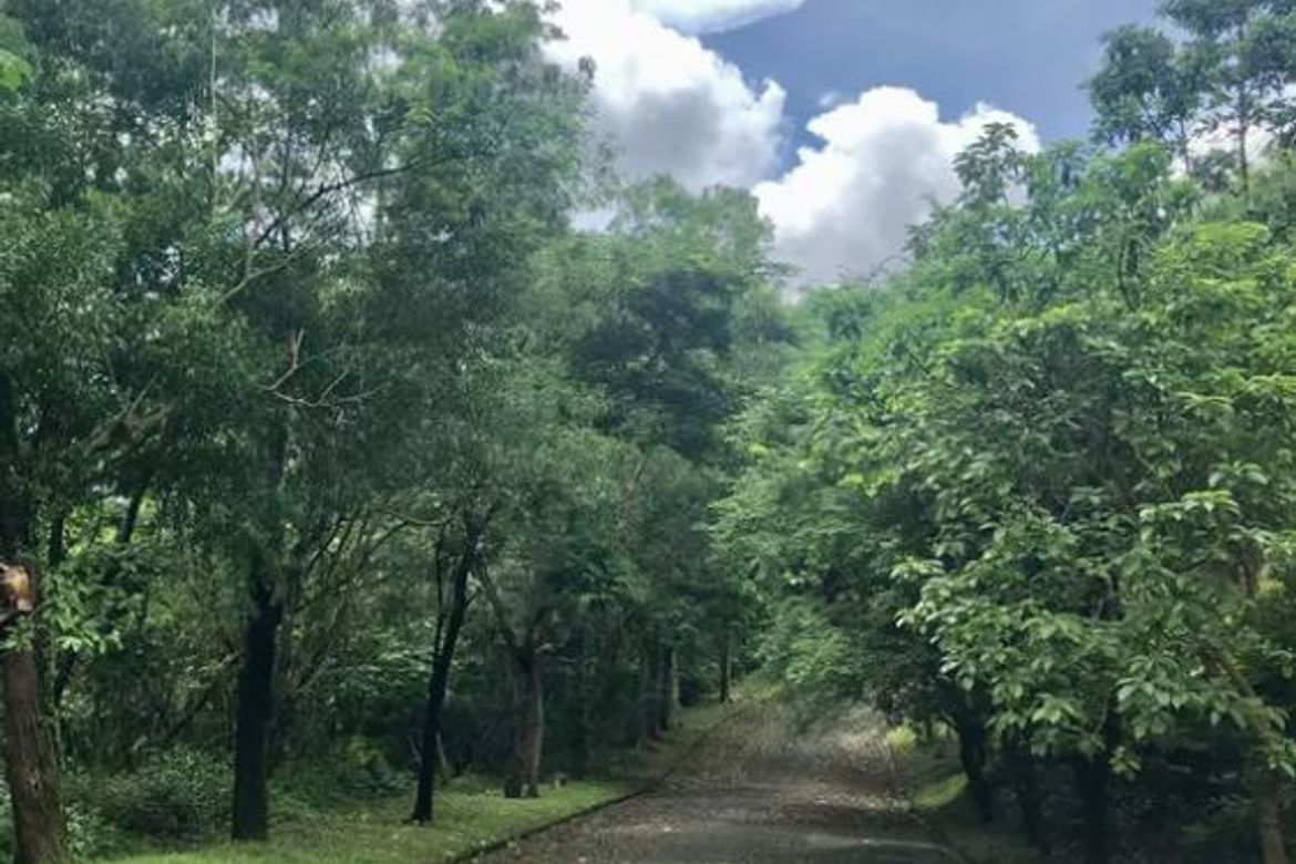 Land for Sale in San Roque, Antipolo, Rizal – photo 2