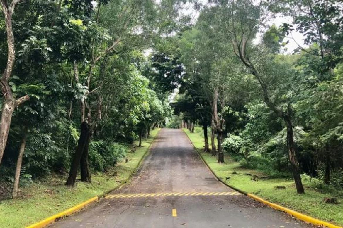 Land for Sale in San Roque, Antipolo, Rizal – photo 3