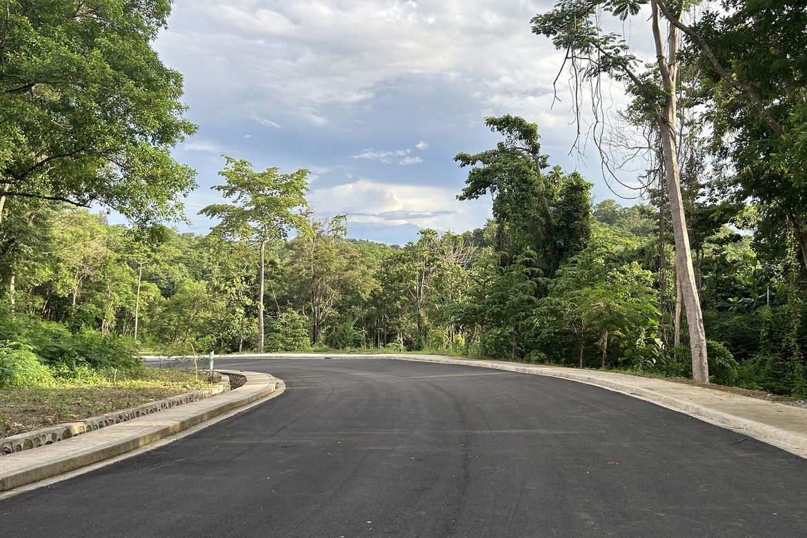 Land for Sale in San Roque, Antipolo, Rizal – photo 2