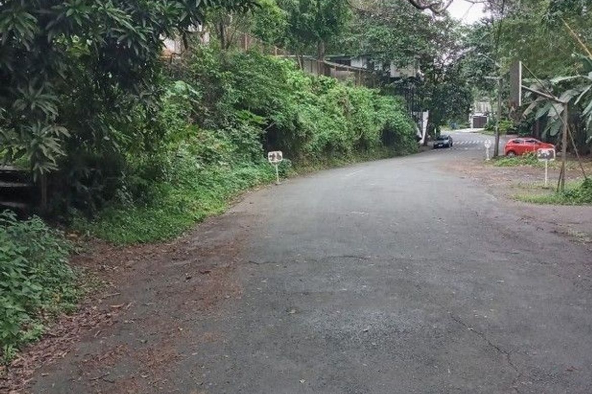 Land for Sale in San Roque, Antipolo, Rizal – photo 2