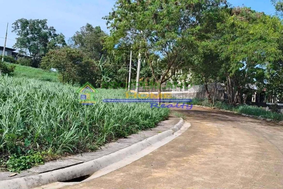 Land for Sale in San Roque, Antipolo, Rizal – photo 6