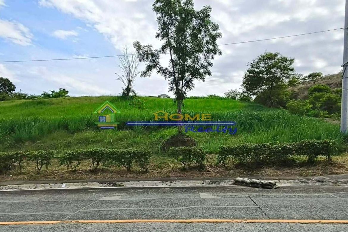 Land for Sale in San Roque, Antipolo, Rizal – photo 6