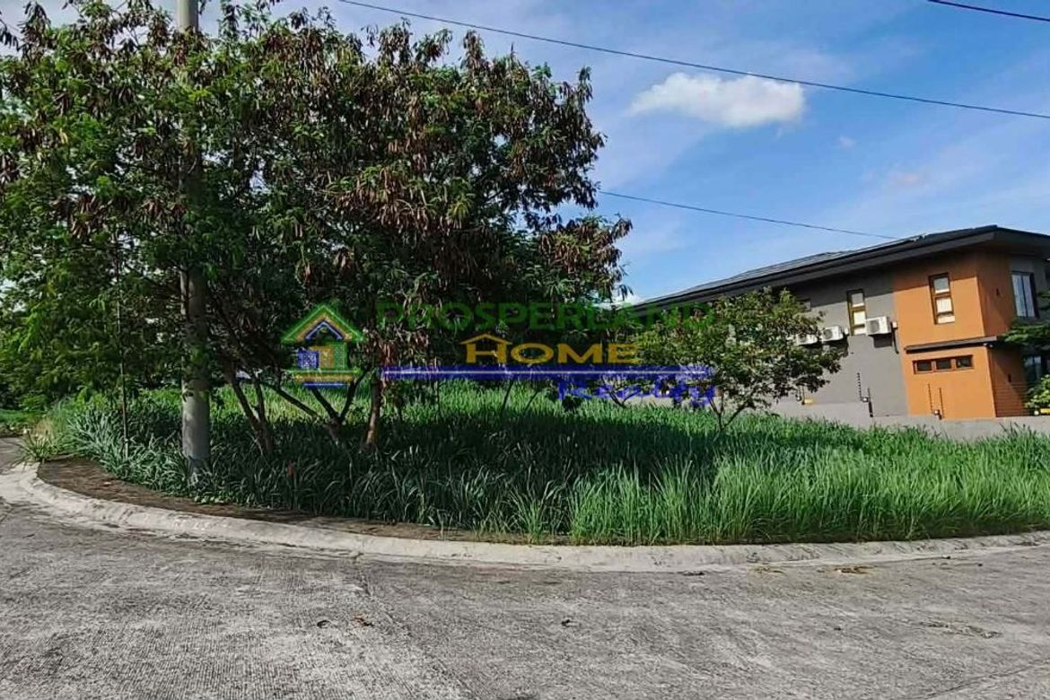 Land for Sale in San Roque, Antipolo, Rizal – photo 6