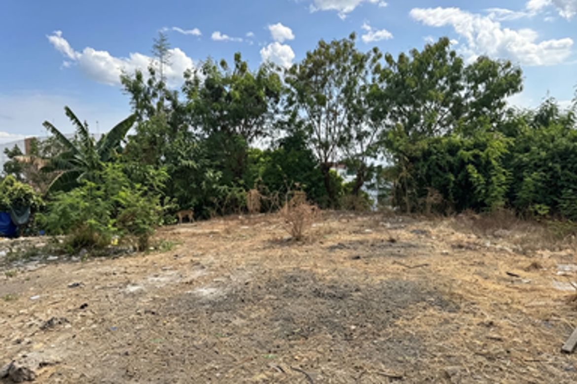 Land for Sale in San Roque, Antipolo, Rizal – photo 4
