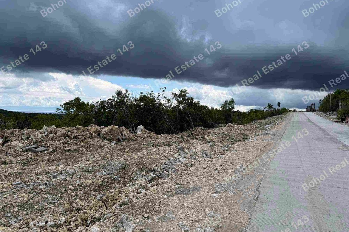 Land for Sale in San Roque, Baclayon, Bohol – photo 3