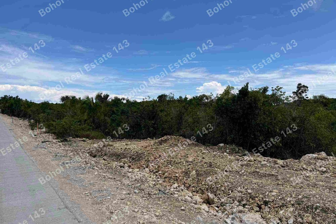 Land for Sale in San Roque, Baclayon, Bohol – photo 5