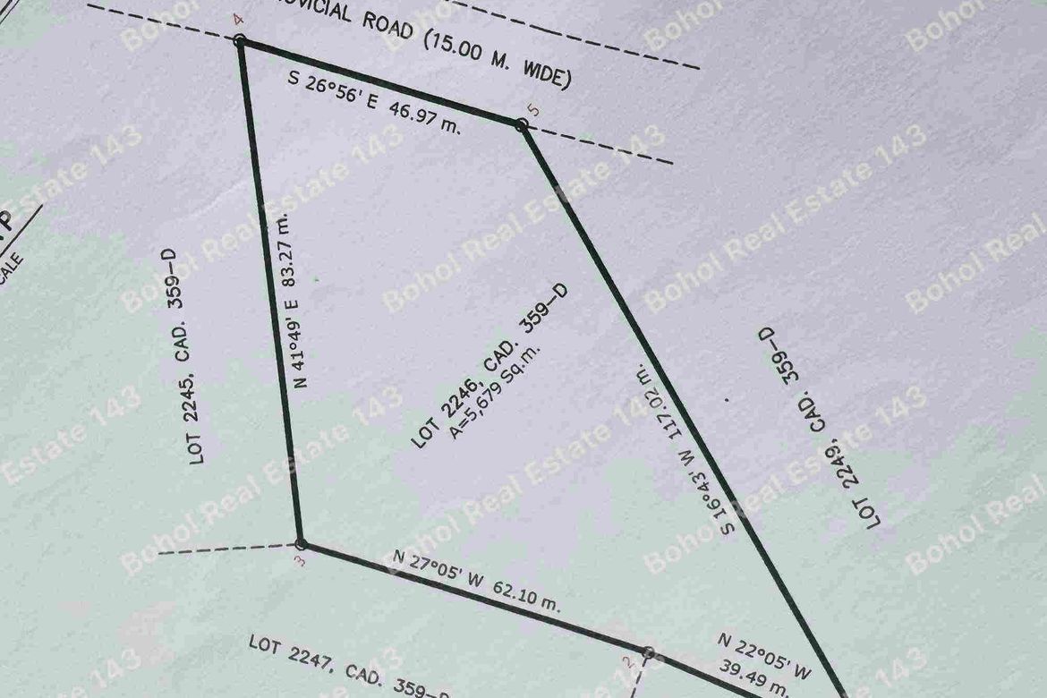 Land for Sale in San Roque, Baclayon, Bohol – photo 6