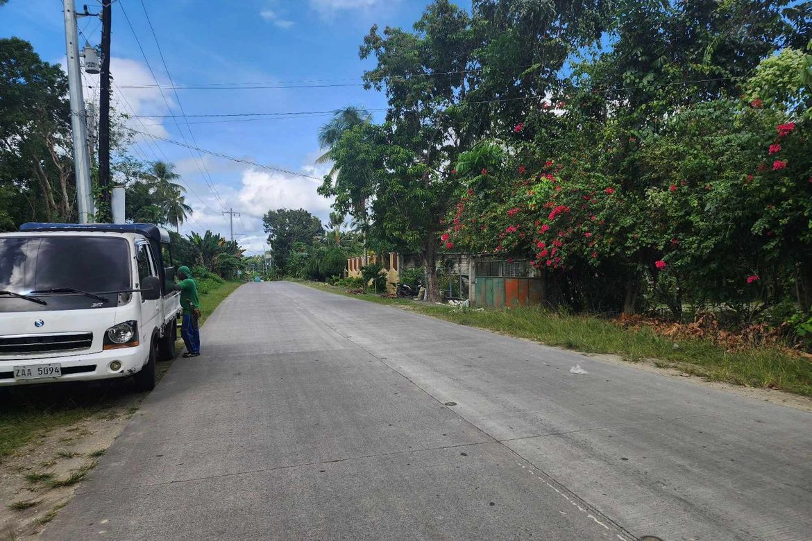 Land for Sale in San Roque, Baclayon, Bohol – photo 2