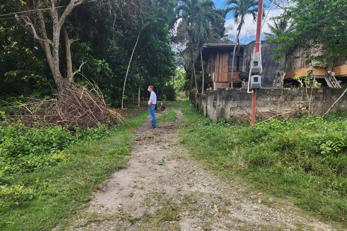 Land for Sale in San Roque, Baclayon, Bohol – photo 4