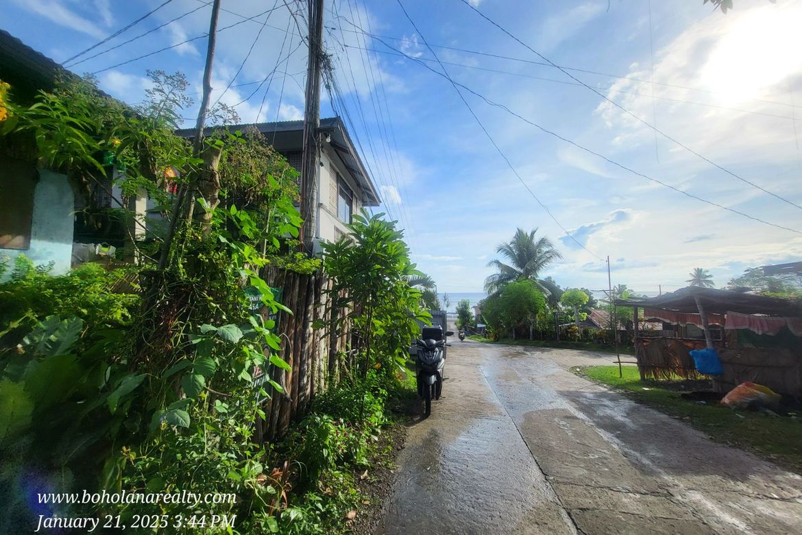 Land for Sale in San Roque, Baclayon, Bohol – photo 2