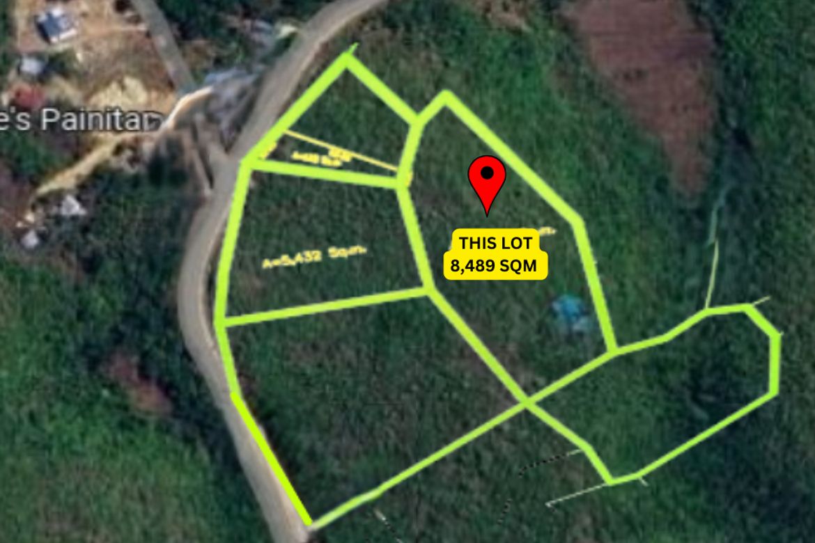 Land for Sale in San Roque, Baclayon, Bohol – photo 2