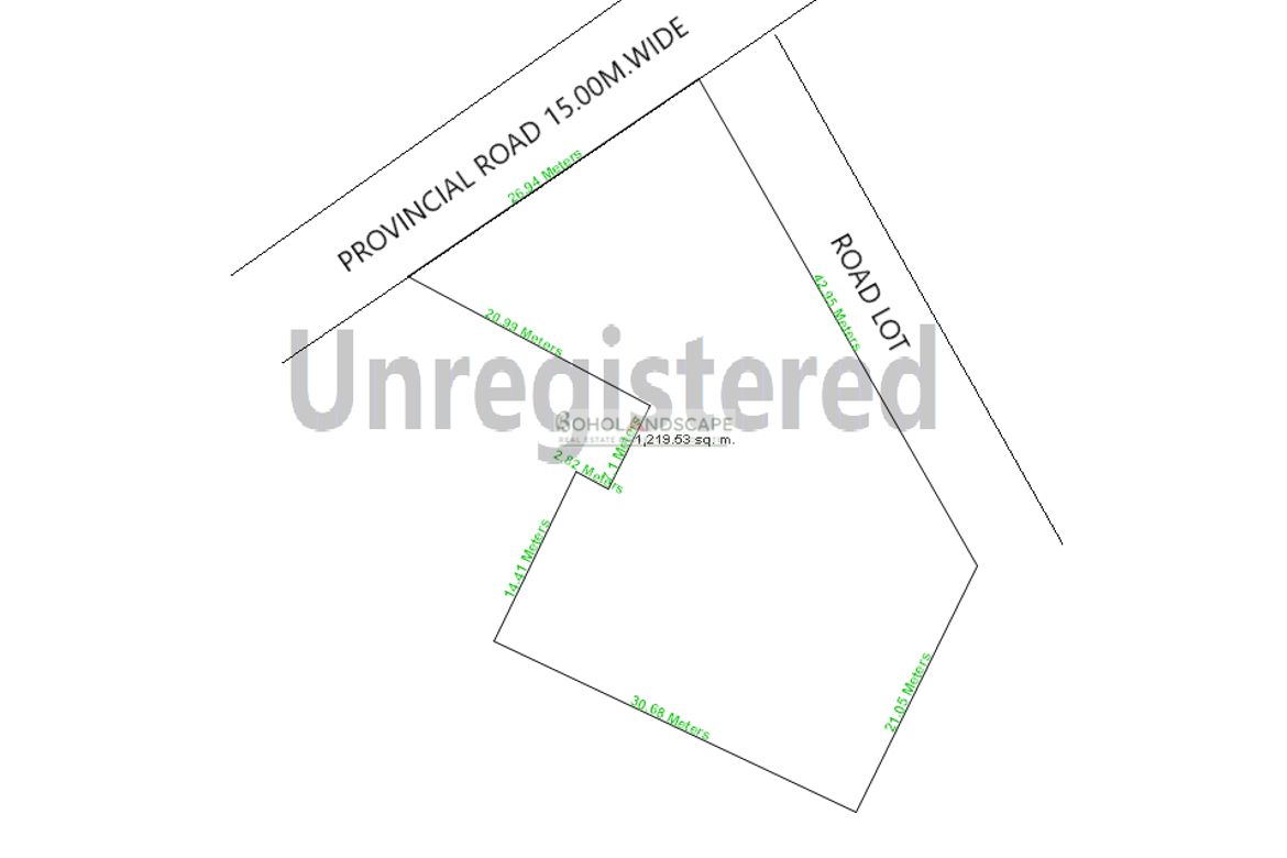Land for Sale in San Roque, Baclayon, Bohol – photo 3
