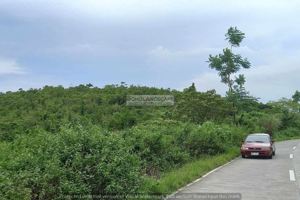 Land for Sale in San Roque, Baclayon, Bohol – photo 6